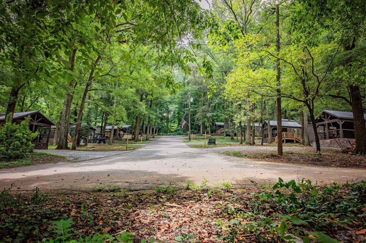 Eden Cabin Forested Tiny Home On Lookout Mtn 查塔努加 外观 照片