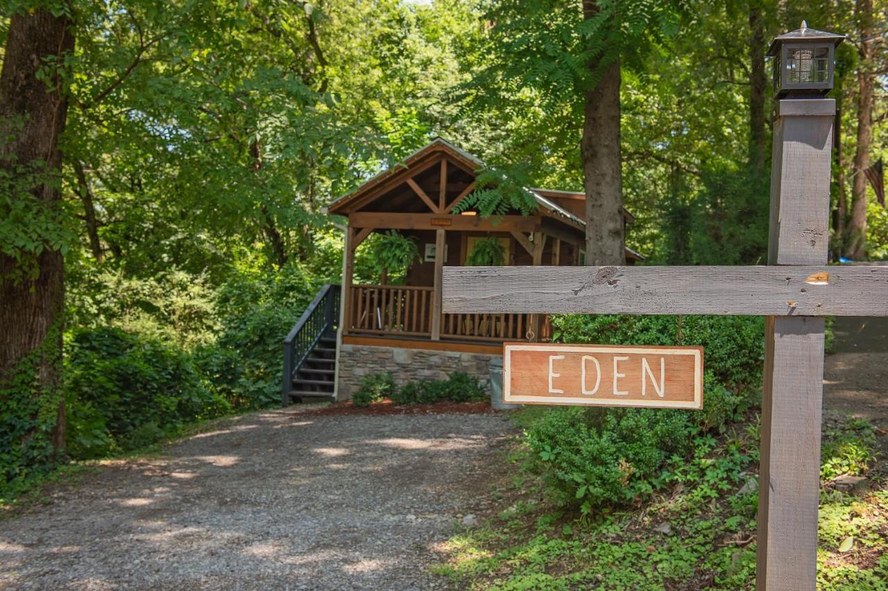 Eden Cabin Forested Tiny Home On Lookout Mtn 查塔努加 外观 照片