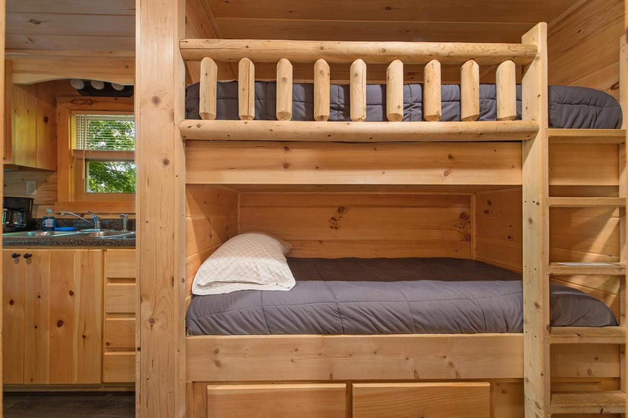 Eden Cabin Forested Tiny Home On Lookout Mtn 查塔努加 外观 照片