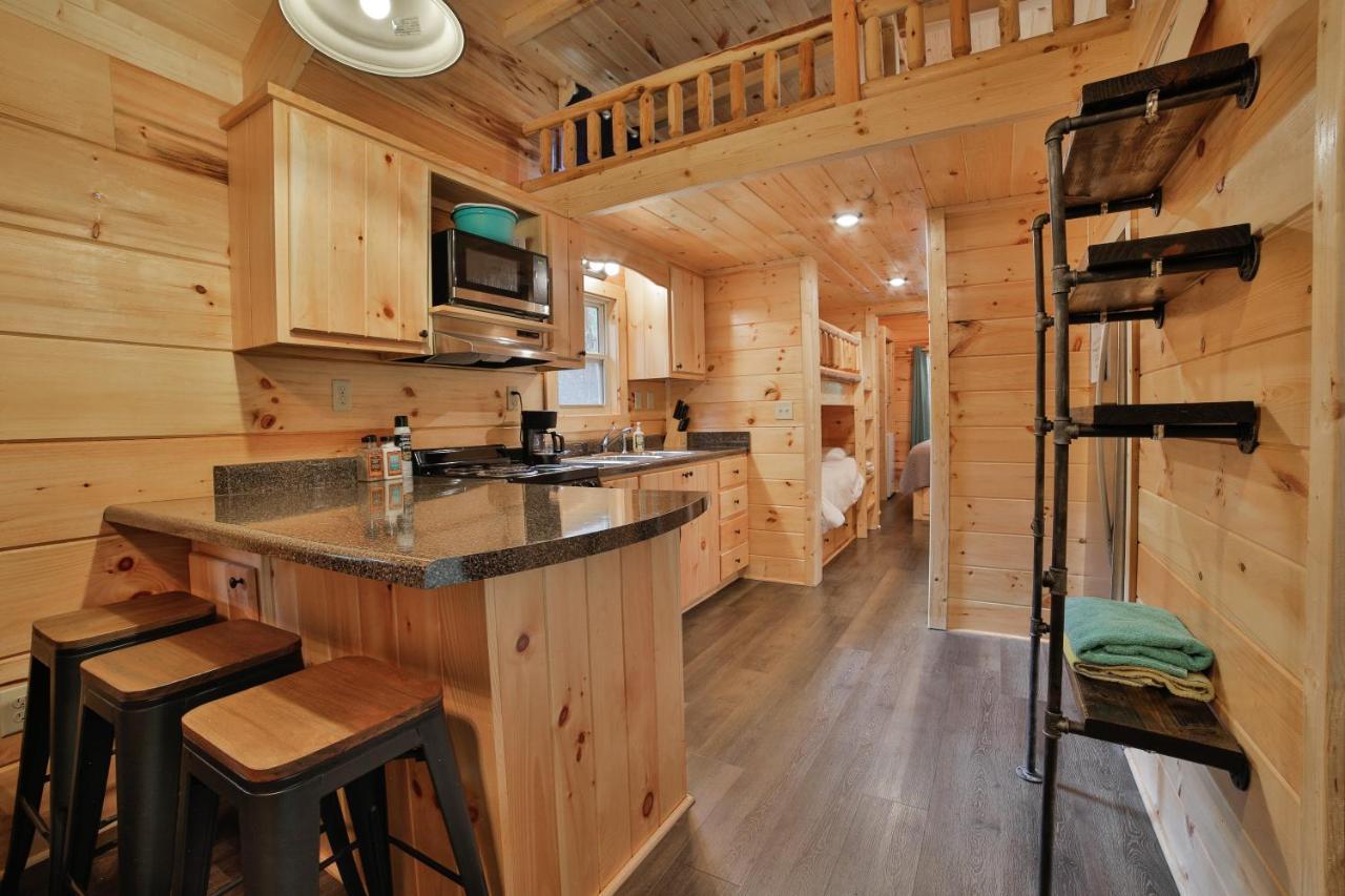 Eden Cabin Forested Tiny Home On Lookout Mtn 查塔努加 外观 照片