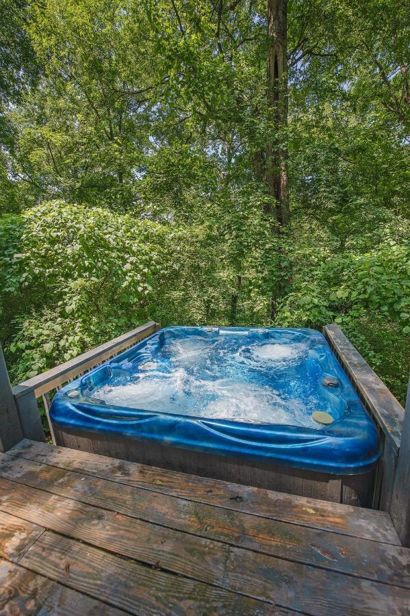 Eden Cabin Forested Tiny Home On Lookout Mtn 查塔努加 外观 照片