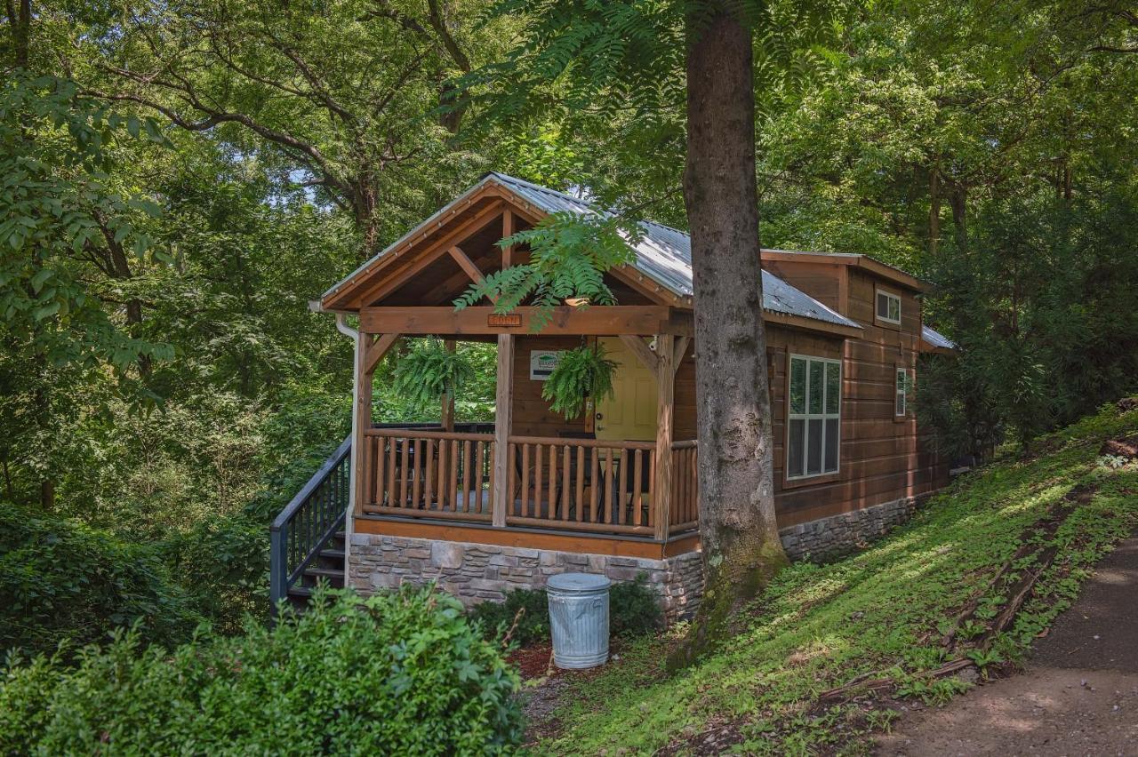 Eden Cabin Forested Tiny Home On Lookout Mtn 查塔努加 外观 照片
